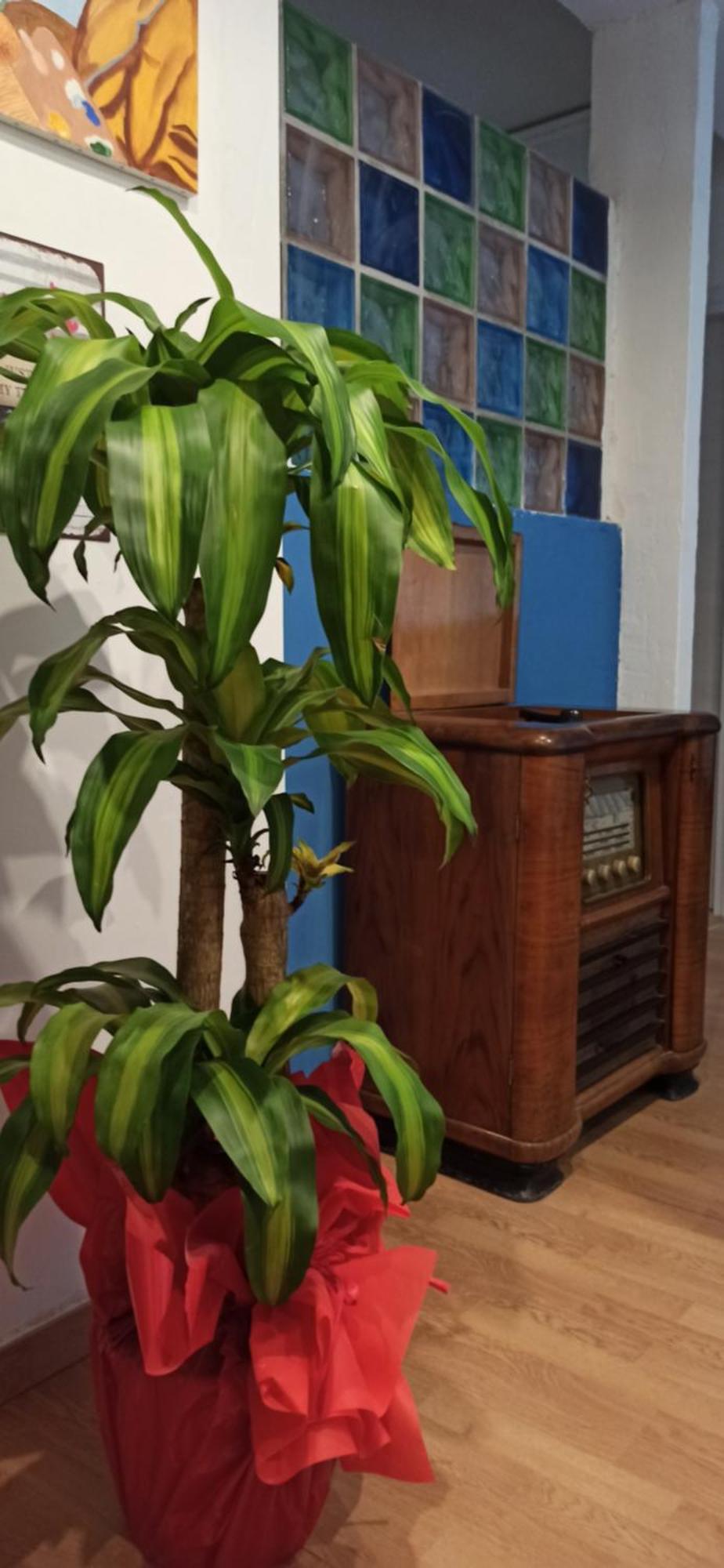 New Suite Palermo Ngoại thất bức ảnh