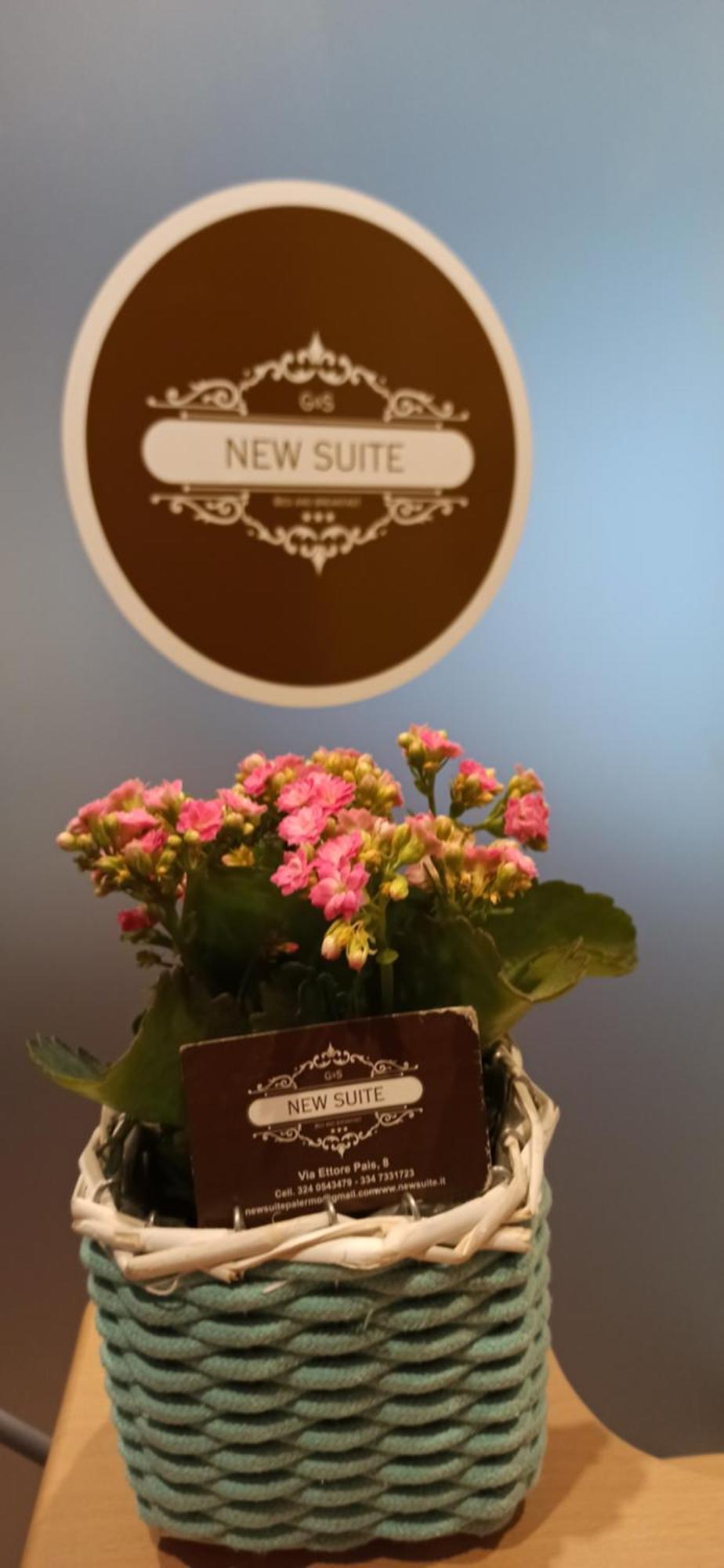New Suite Palermo Ngoại thất bức ảnh